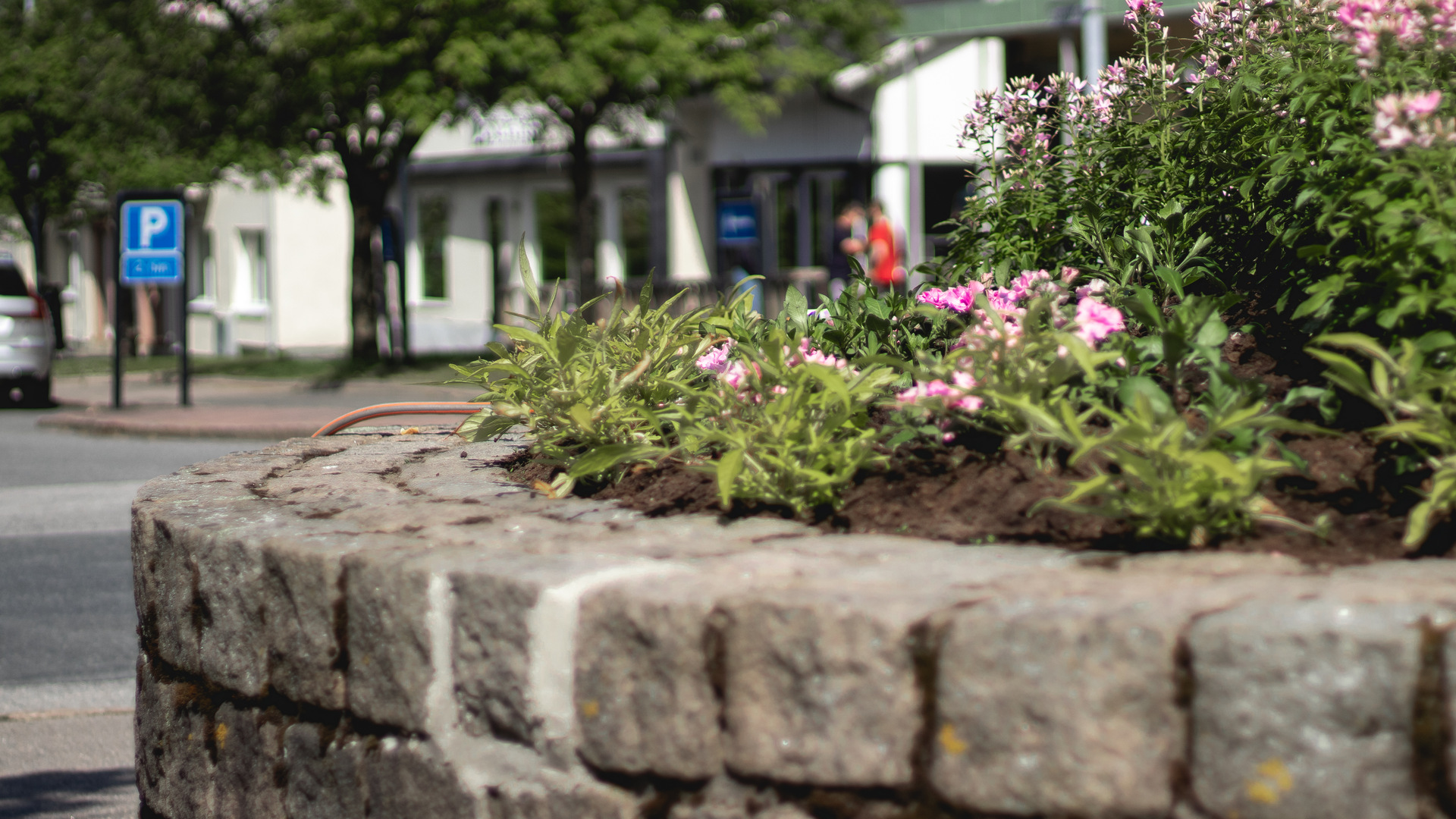 plantering