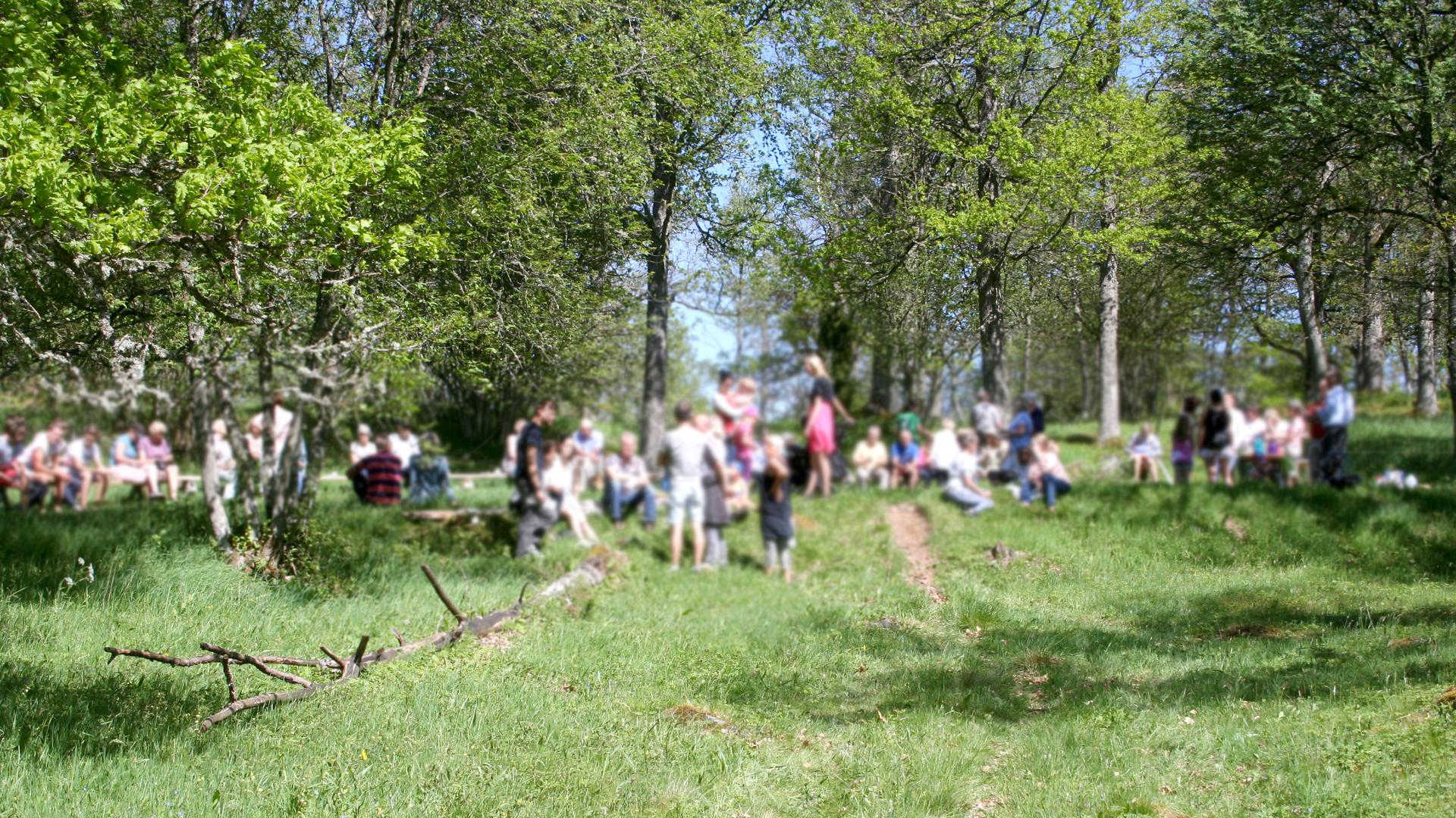 Samling av personer på solig äng, träd i bakgrunden.